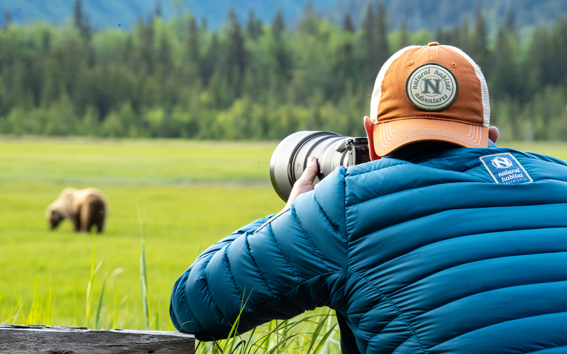 Photographing coastal brown bears at Nat Hab's Alaska Bear Camp