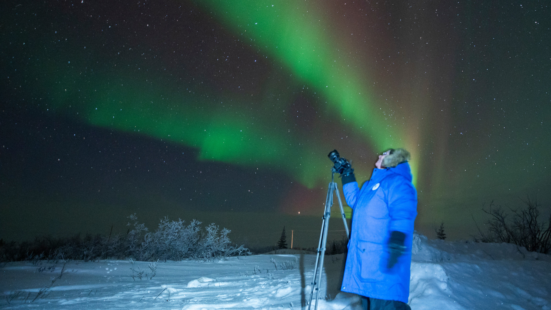 northern lights, aurora borealis, Churchill, Canada