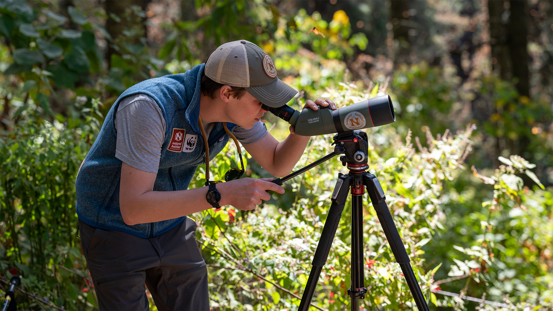 Nat Hab Expedition Leader Charlie Reinertsen, wildlife scope, monarch butterflies, mexico
