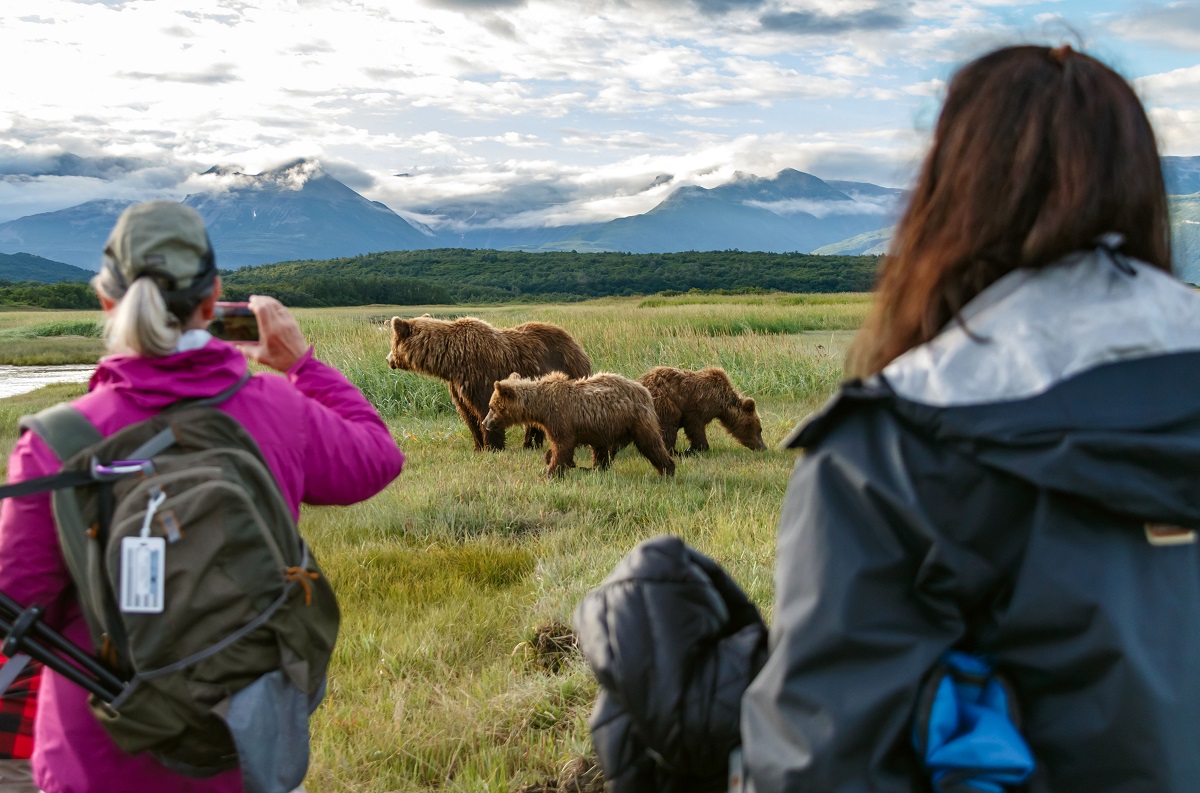 Nat Hab travelers with brown bears in Alaska.