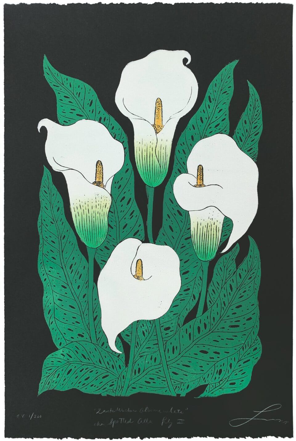 a block print of four calla lilies on a black background
