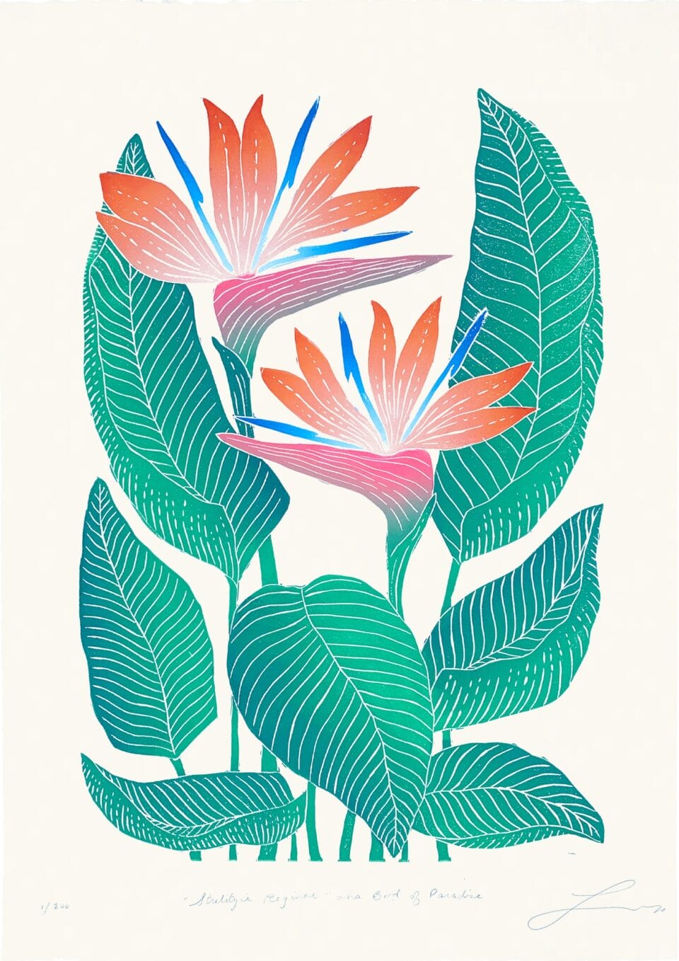 a block print of two tropical pink-and-orange flowers with large green leaves