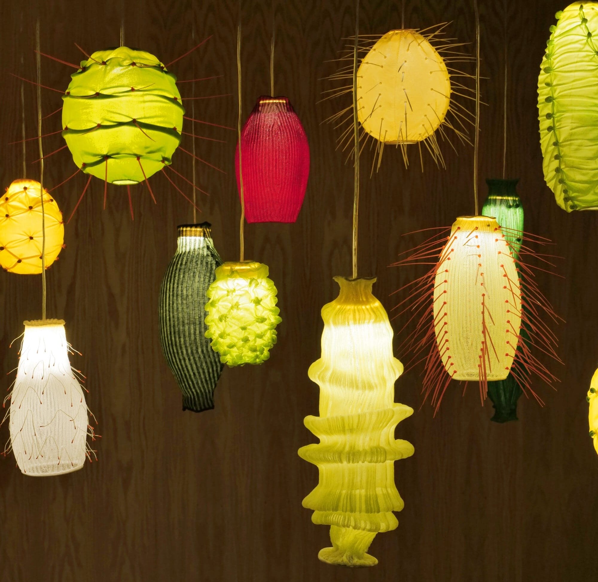 In ‘KAUANI,’ Indigenous Mexican Flora Flourishes in Glowing Lanterns