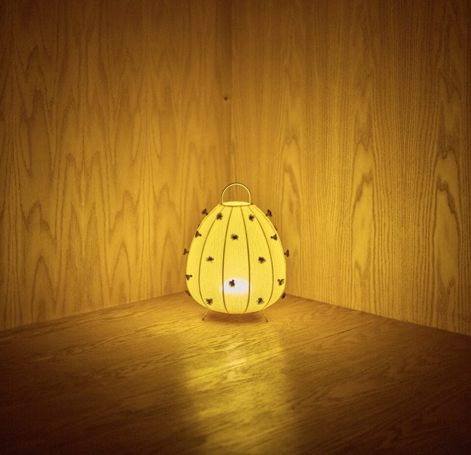 a small lamp abstractly reminiscent of a fruit, sits in a corner illuminating wooden walls