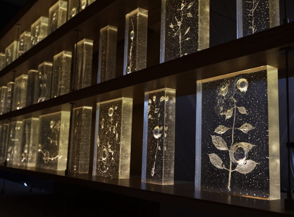 a detail of a wall installation of numerous glass rectangles with frosted glass botanical shapes inside each one