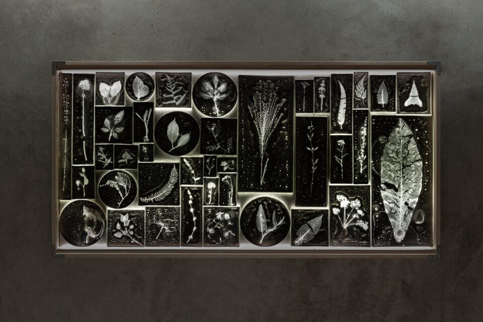 a detail of a multi-paned glass wall sculpture featuring a clear rectangle of solid glass with a frosty impression inside of plants with bubbles