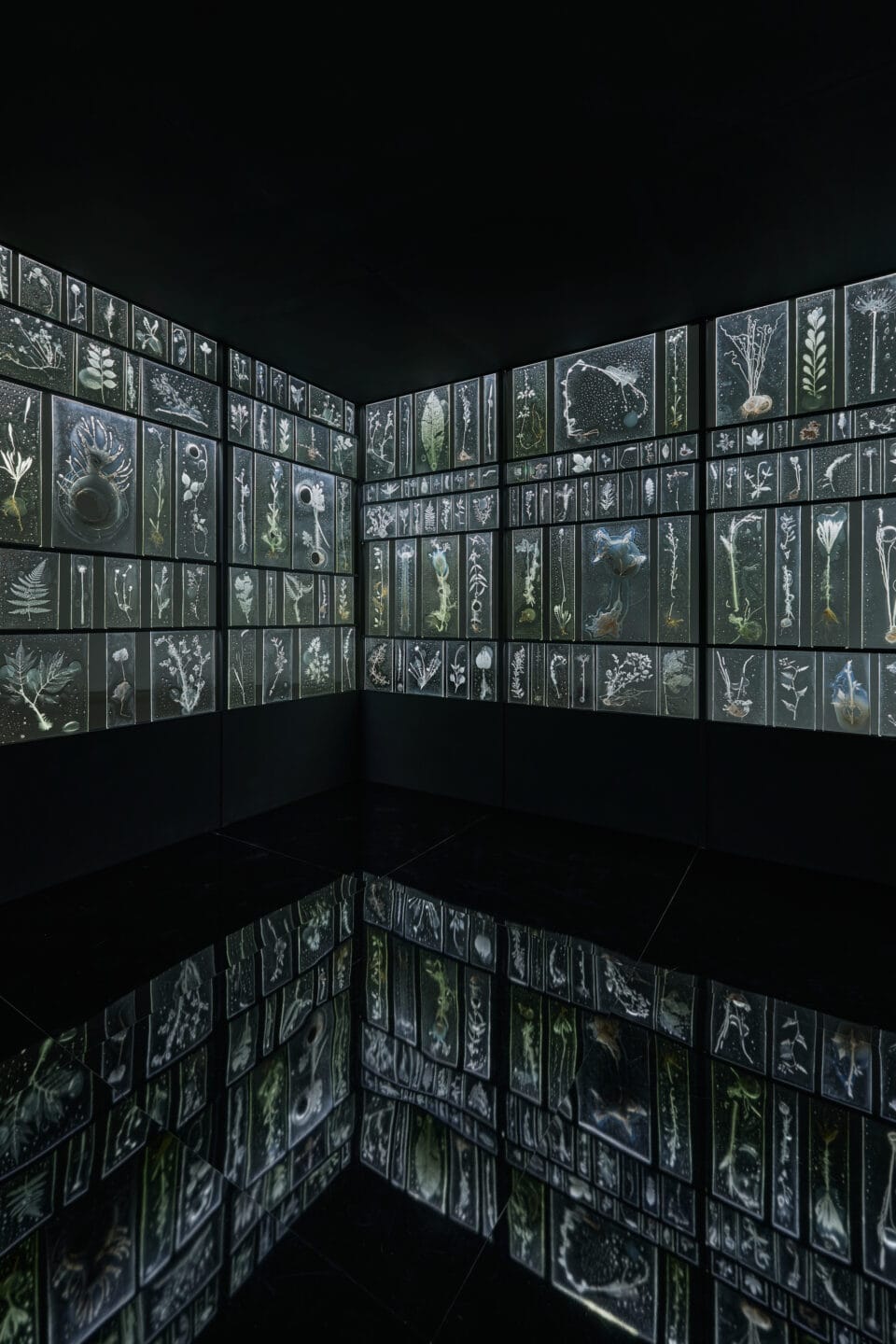 a large-scale installation of a multi-paned sculpture with walls of glass full of rectangles of solid glass with frosty impressions inside a plants with bubbles