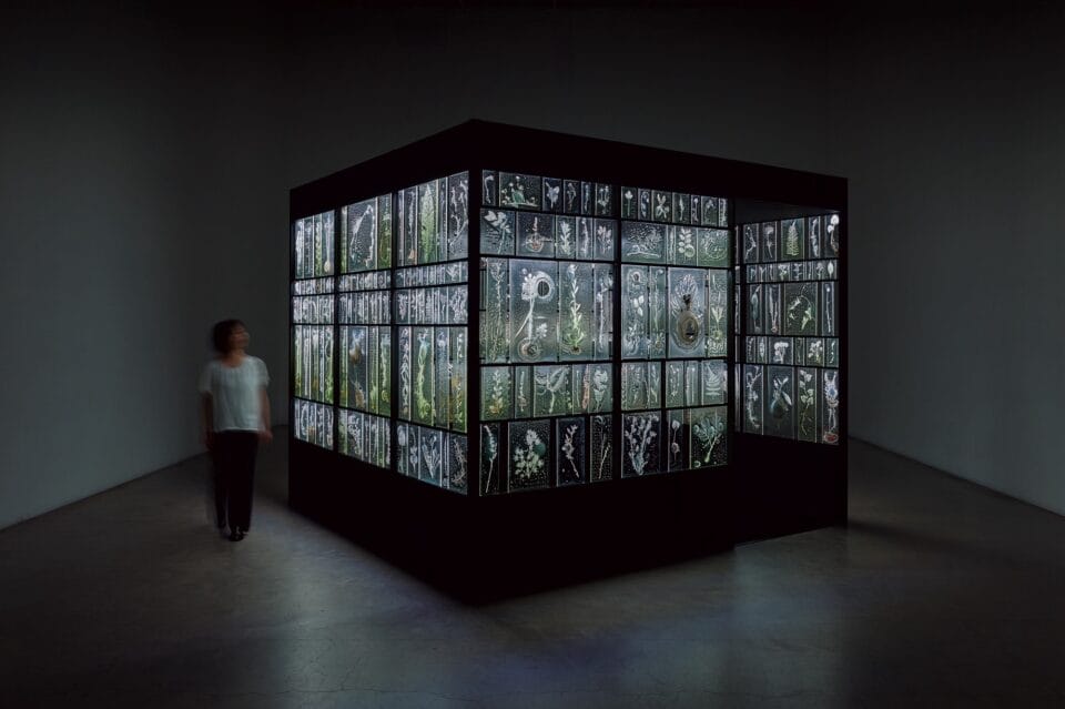 a large-scale installation of a multi-paned sculpture with walls of glass full of rectangles of solid glass with frosty impressions inside of plants with bubbles