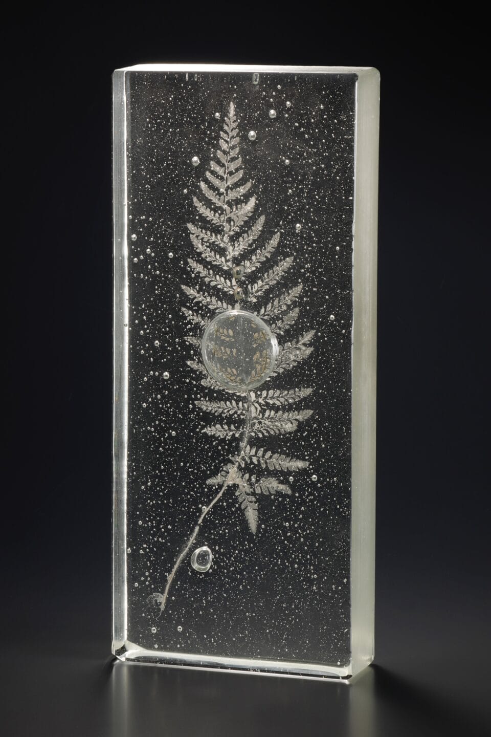 a glass sculpture featuring a clear rectangle of solid glass with a frosty impression inside of a plant with a large bubble in the middle