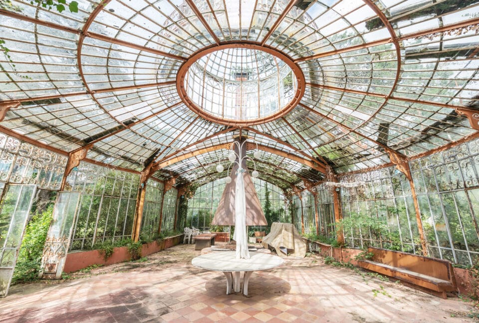a photograph by Romain Veillon of the interior of an abandoned greenhouse overtaken by vegetation