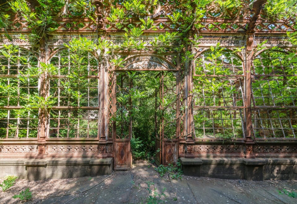 a photograph by Romain Veillon of the interior of an abandoned greenhouse overtaken by dense, rollicking vegetation